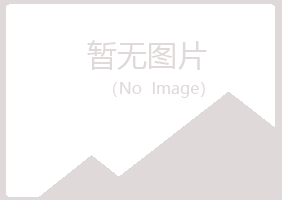 沅陵县女孩会计有限公司